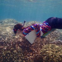 Luella Allen-Waller (@symbioecology) 's Twitter Profile
