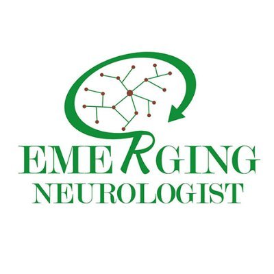 Emerging Neurologist is an open-access journal promoted by FIJNF and @ANAINFrance in partnership with the @Univ_Paris

👉 https://t.co/qCeBIGce38