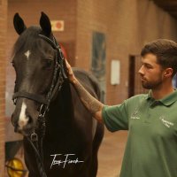 James Crawford (@jchorseracing) 's Twitter Profile