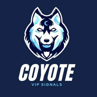 Aghainvst's profile picture. 🏫 Crypto Marker TA
JOIN MY FREE TELEGRAM GROUP - LINK 👇