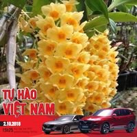 Vân Hoa Nam (@hoavannam91) 's Twitter Profile