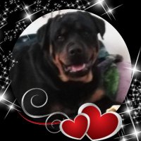 Bdawg (@dadandmomdawg) 's Twitter Profile