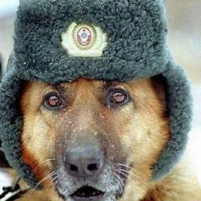 vodkashokoladka's profile picture. СММ, Маркетинг