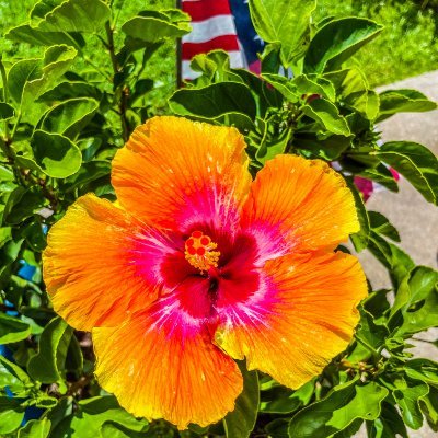 Fashionfab2412's profile picture. #Vintage #Clothing #Seller #Jewelry #Style #Fashion #Deals #Buys #Shopping #Smallbusiness #eBay #Bargins #Greatdeals #Onlinesales #Shopping #shoes