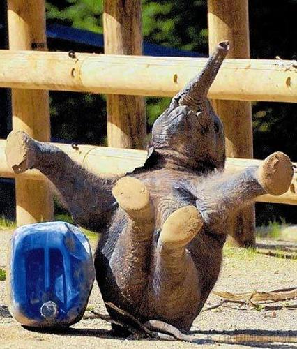I love things that make me smile sometime to laugh
