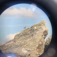 Cloudscape (@cloudscape4774) 's Twitter Profile Photo