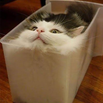 Crimson_Pitbull's profile picture. 