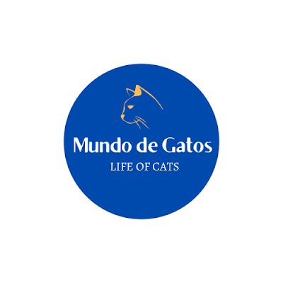 MundodeGatosN's profile picture. 