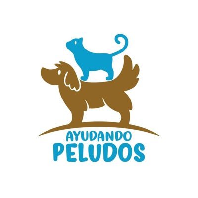 Somos una asociación sin fines de lucro de PARAGUAY 🇵🇾 dedicada al rescate de animales abandonados, maltratados, enfermos y en situación de calle. Sumate!