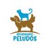 Ayudando Peludos (@Ayudandopeludos) Twitter profile photo