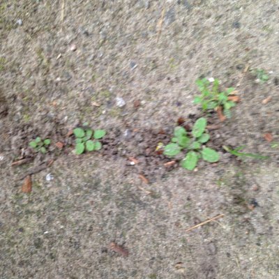 misc. endeavours #WagTheDog πΊπ π₯ π πΏβ Profile