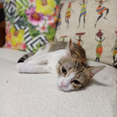 bahtsizkatya's profile picture. 🚬