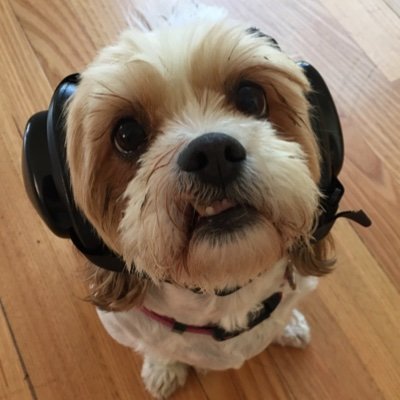 Firstdog Onthemoon (@firstdogonmoon) / Twitter Firstdog Onthemoon (@firstdogonmoon) / Twitter