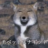 Pa!Pa!Pa! (@papapa80755851) Twitter profile photo