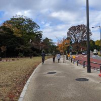 さがわのり (@no53go) 's Twitter Profile