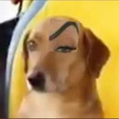 memes234_'s profile picture. 