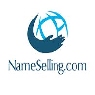 NameSelling.com đ Valuable Domain Names Profile