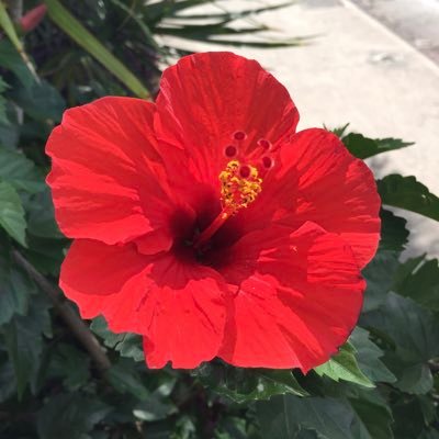 meenarosa's profile picture. 推し活＆旅行好き。