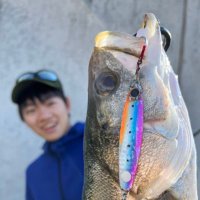 アングルボーイ池田 (@takashi06s) 's Twitter Profile Photo アングルボーイ池田 (@takashi06s) 's Twitter Profile Photo