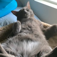 travis (@moretraves) 's Twitter Profile