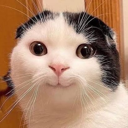 {L👀K} ❌ RTหนักมากさんのプロフィール画像