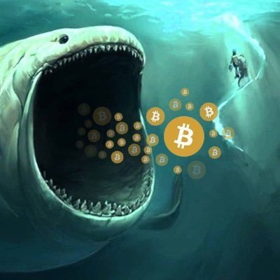 MrBTC75928257's profile picture. 📈 #Bitcoin & Crypto Enthusiast ✉️
#DYOR