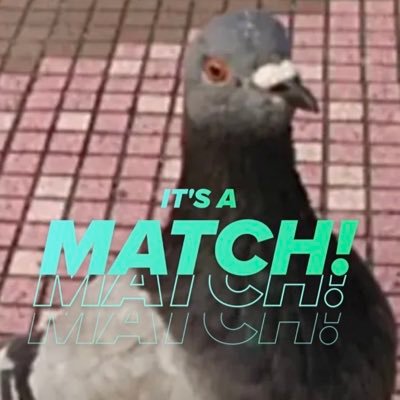 hatapopoo's profile picture. 田舎に住んでます。