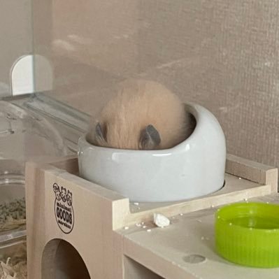 味噌♂さんのプロフィール画像