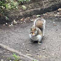 Cardano💦tiwi (@cardano888) 's Twitter Profile