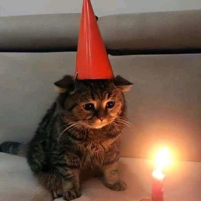 1kvoicesgoyeet's profile picture. yeet