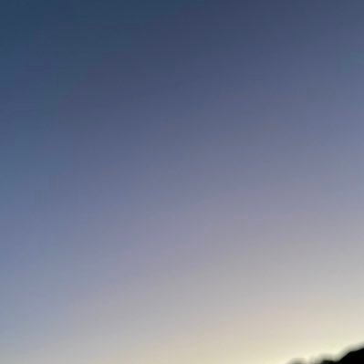 mochi__shiro__'s profile picture. 