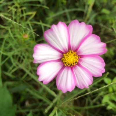 callmeAndy90's profile picture. 