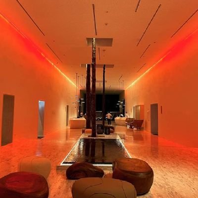 chancen70963002's profile picture. 