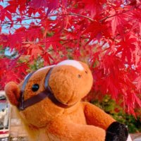 ﾀ🦦 (@nfz3fp9o5u2ydjc) Twitter profile photo