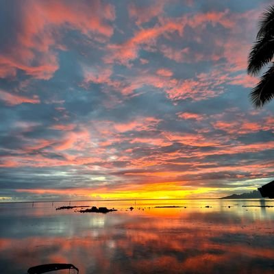 AlexandrineToo1's profile picture. 