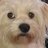 roevvvv's profile image