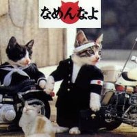 🤿 HERO 🎾 (@skylinegtr1973) 's Twitter Profile
