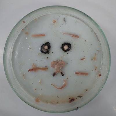 la_maga2929's profile picture. こんにちわ #ゼンゼロ