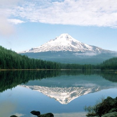 Brett17371202's profile picture. 