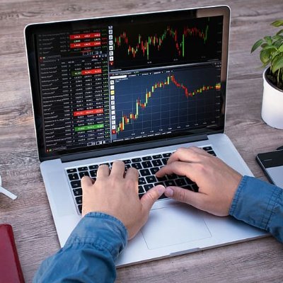 Risk Analyst and Financial Consultant by profession.
