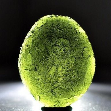 pleiadian819's profile picture. Good good study, day day up.