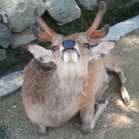 Shink2 (@shink2_29) 's Twitter Profile Photo Shink2 (@shink2_29) 's Twitter Profile Photo