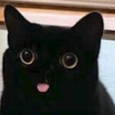 blackcatandgang's profile picture. 