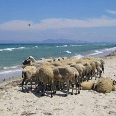 AscasXzczx's profile picture. #followback