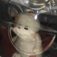 peçorin (@morfusion) Twitter profile photo