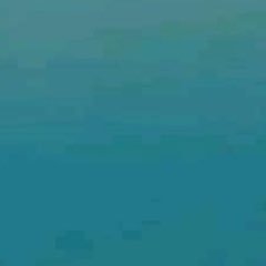 tofu_plz's profile picture. 구독계입니다