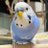 ぴくよのアイコン