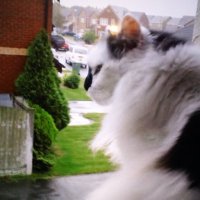 Simon Woods (@simonwoods78) 's Twitter Profile Photo