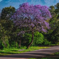 Josephat Hongoli (@appliedmetrics_) Twitter profile photo