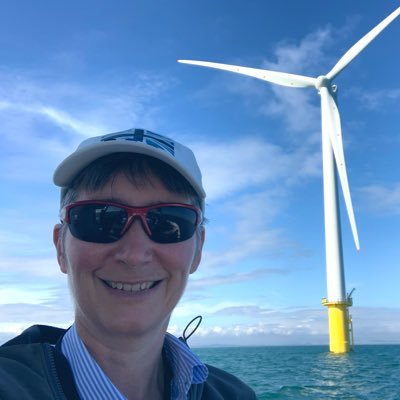 Energy & Sustainability Engineer. Chair @HydrogenSussex / NED @shoreham_port / Trustee @ct_sussex She/her Views mine #NetZero #EnergyTwitter